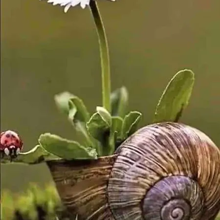 Сasa de vacaciones En Cadavedo Luarca Asturias *