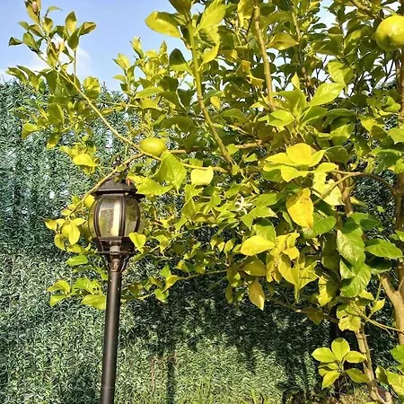 بيت للعطل En Cadavedo Luarca Asturias