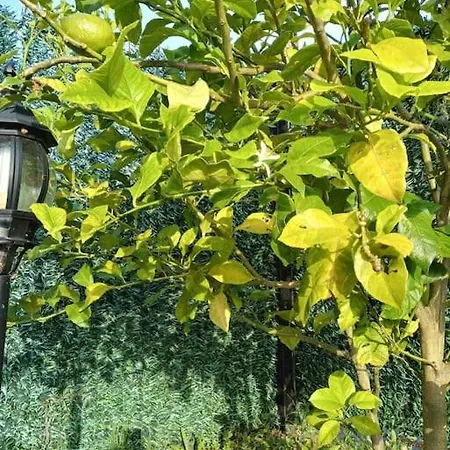 En Cadavedo Luarca Asturias * Villademoros