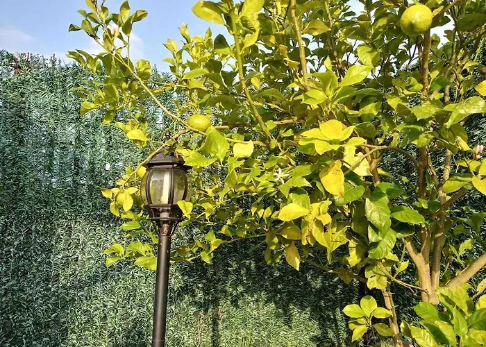 Сasa de vacaciones En Cadavedo Luarca Asturias