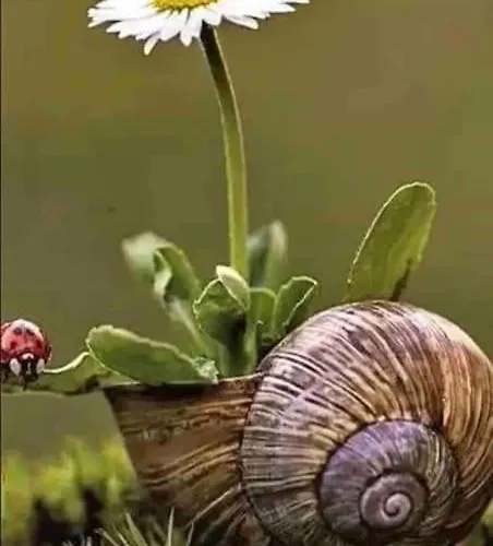 Сasa de vacaciones En Cadavedo Luarca Asturias *