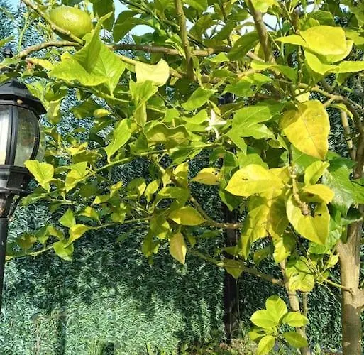 En Cadavedo Luarca Asturias * Villademoros